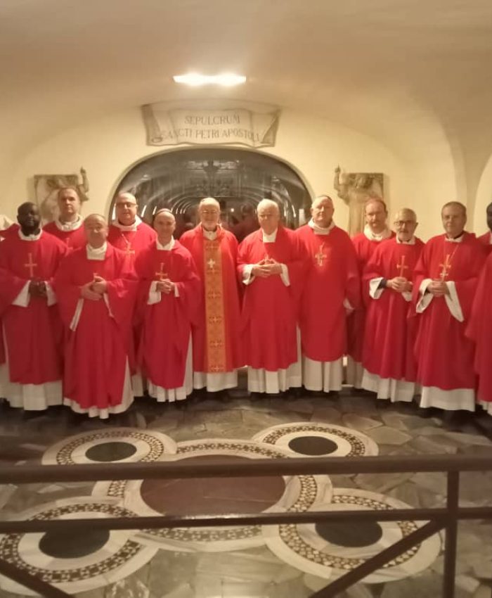 BILLETS INFORMATIFS DE LA VISITE AD LIMINA DE LA CERNA