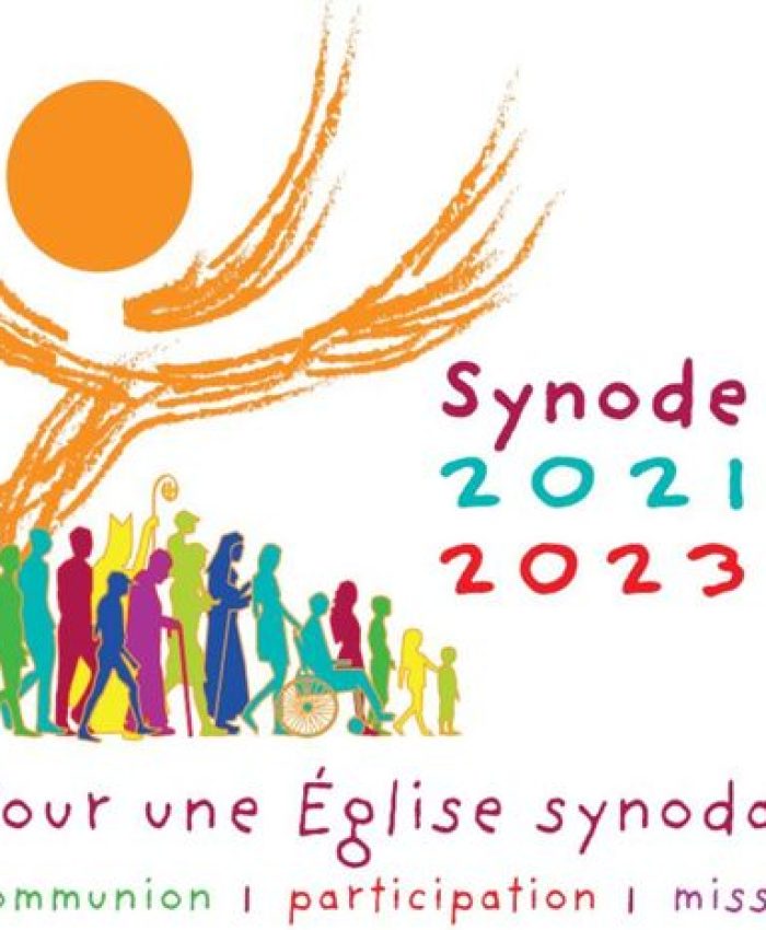 Synthèse – Un an de synode