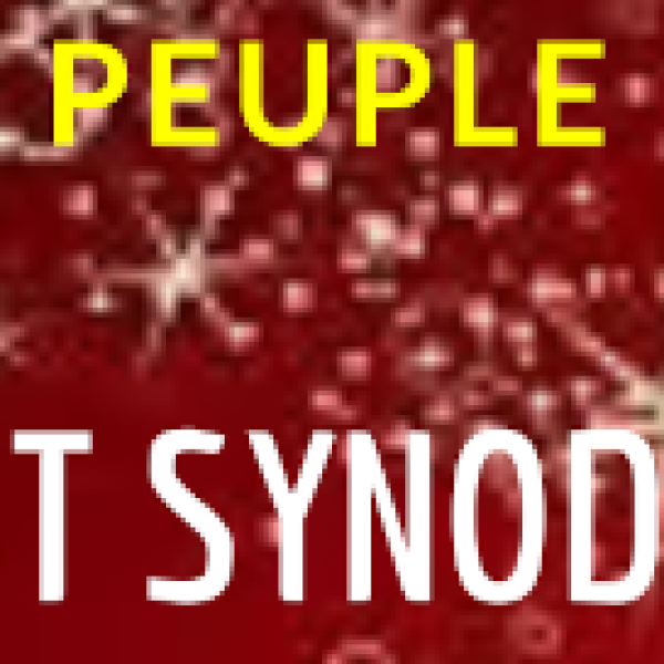 LETTRE AU PEUPLE DE DIEU N°19