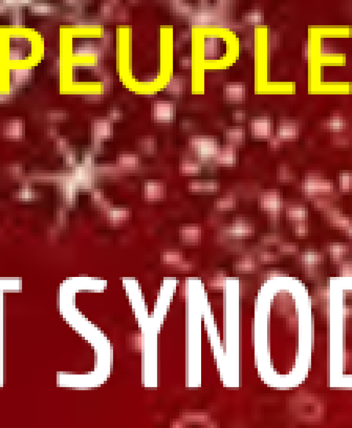 LETTRE AU PEUPLE DE DIEU N°19